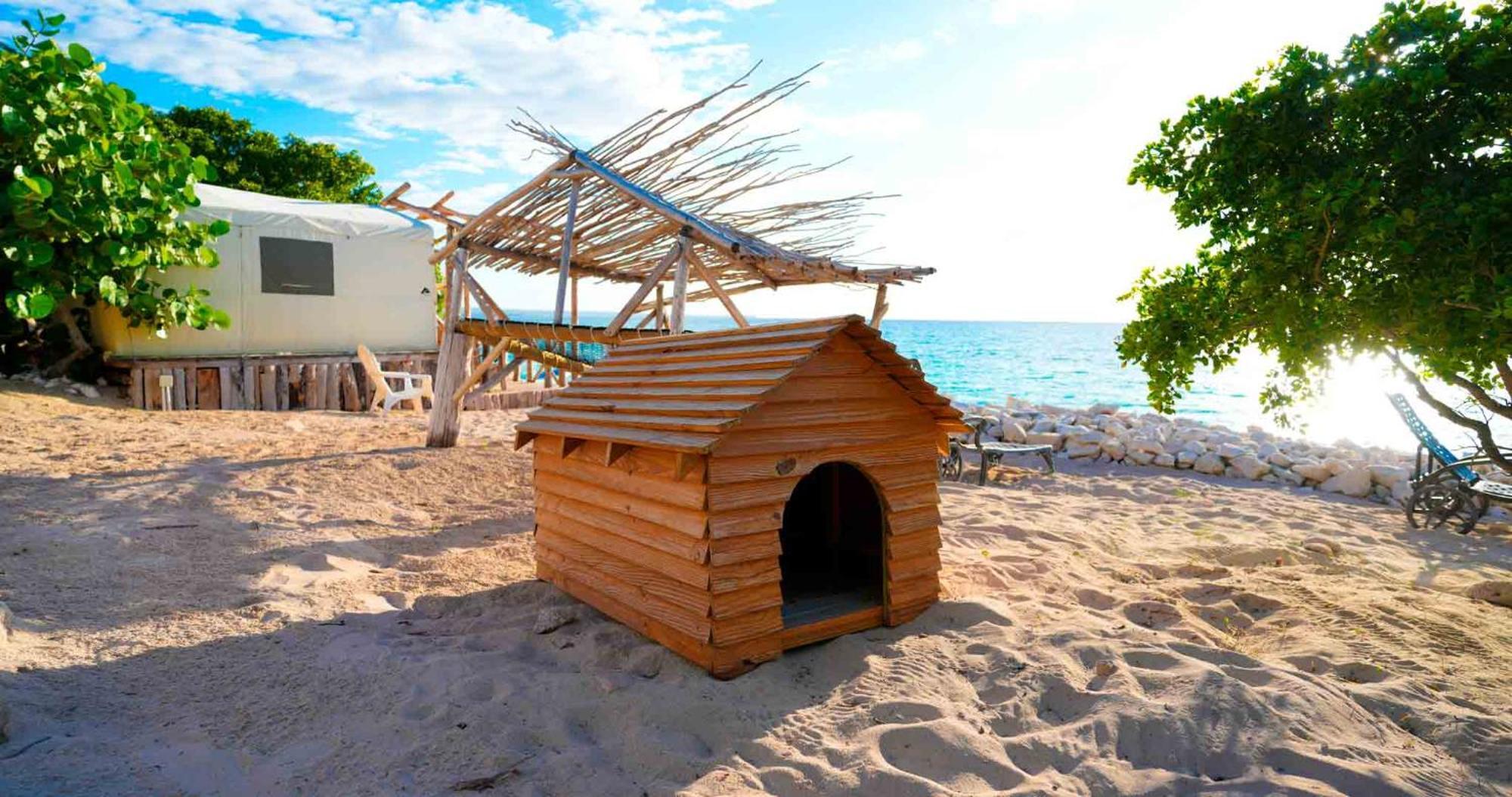 Glamping Ecolodge Cueva De Las Aguilas Pedernales Exteriér fotografie